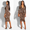 Multicolor Zipper Neck Party Bodycon Dress Stretchy High Waist Office Lady Leopard Women Summer Elegant Dresses Streetwear