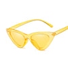 Cat Eye Sunglasses