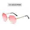 Rimless Women's Classic look