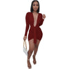 Deep V Neck Long Sleeve Dress